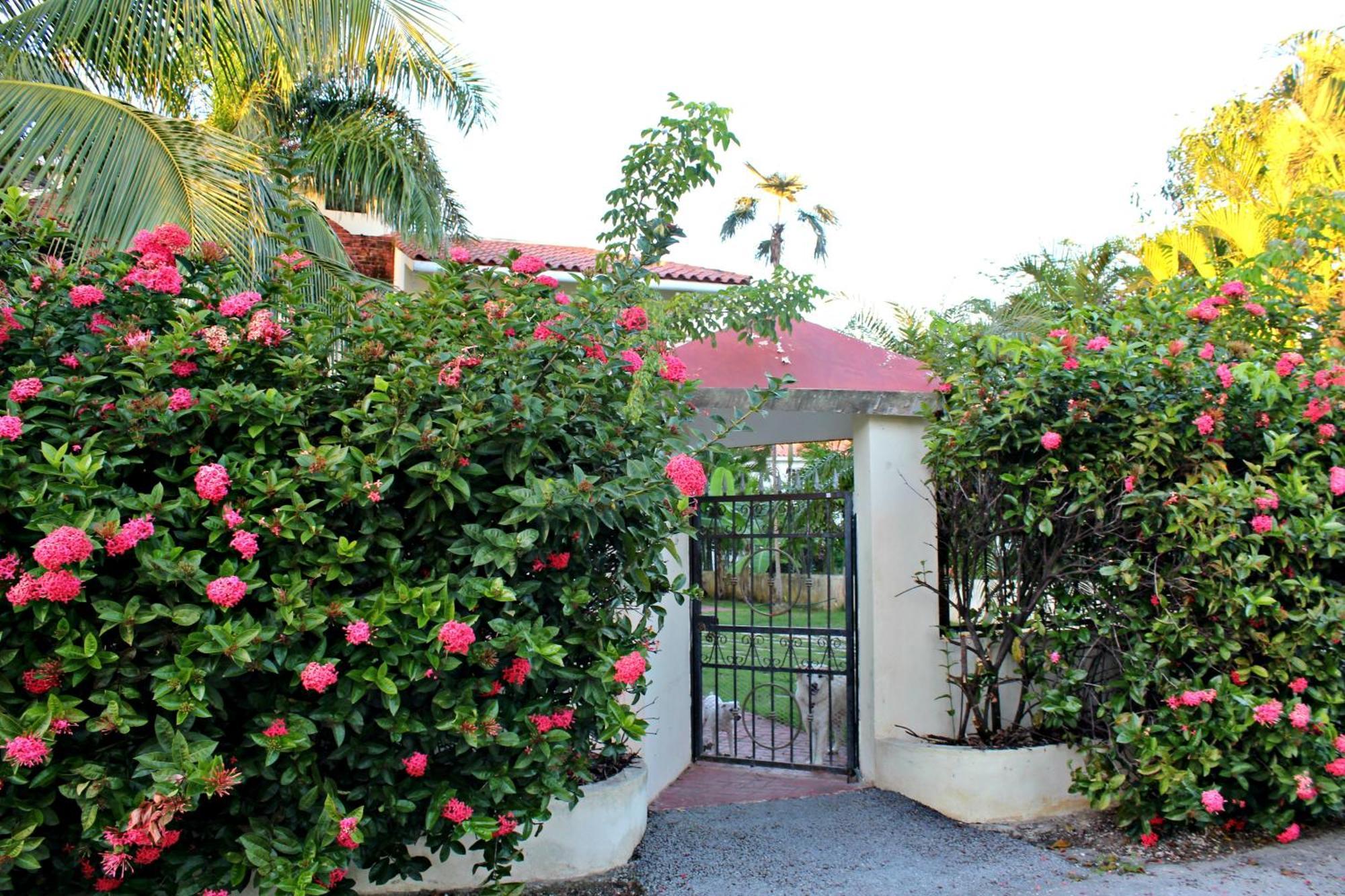 Sweet Home Punta Cana Guest House - Villa Q15A Kültér fotó